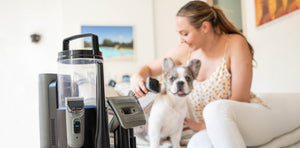 furMe Professional Pet Grooming Vacuum System Grooming Kit comes with all the tools you need to groom your pet at home: grooming brush, de-shedding Brush for undercoat grooming on dogs and cats, AirClipper electric clippers for Dog and Cat hair trimming a