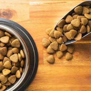 Choosing the Right Diet for Your Pet: A Beginner's Guide
