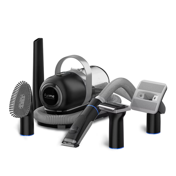 Pets at sales home grooming tools