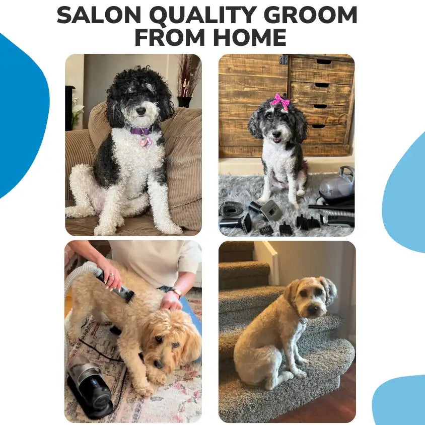 A closer look at Pet Grooming Vacuum Attachment For Grooming Pet Beds And Surfaces