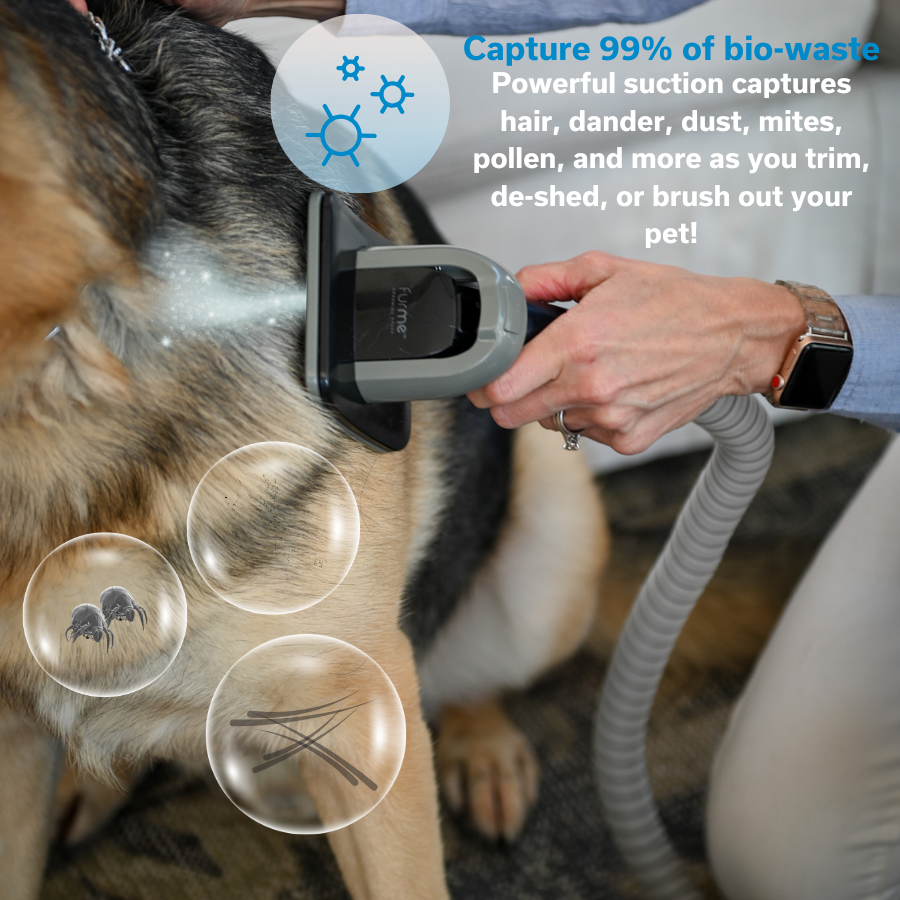 Fur Real? Tail-Wagging Tips for a Flawless Pet Grooming Routine