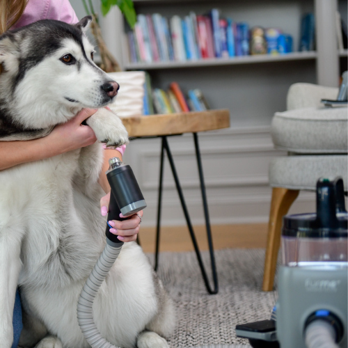 Pet Nail Grinder Attachment for Grooming Vacuum
