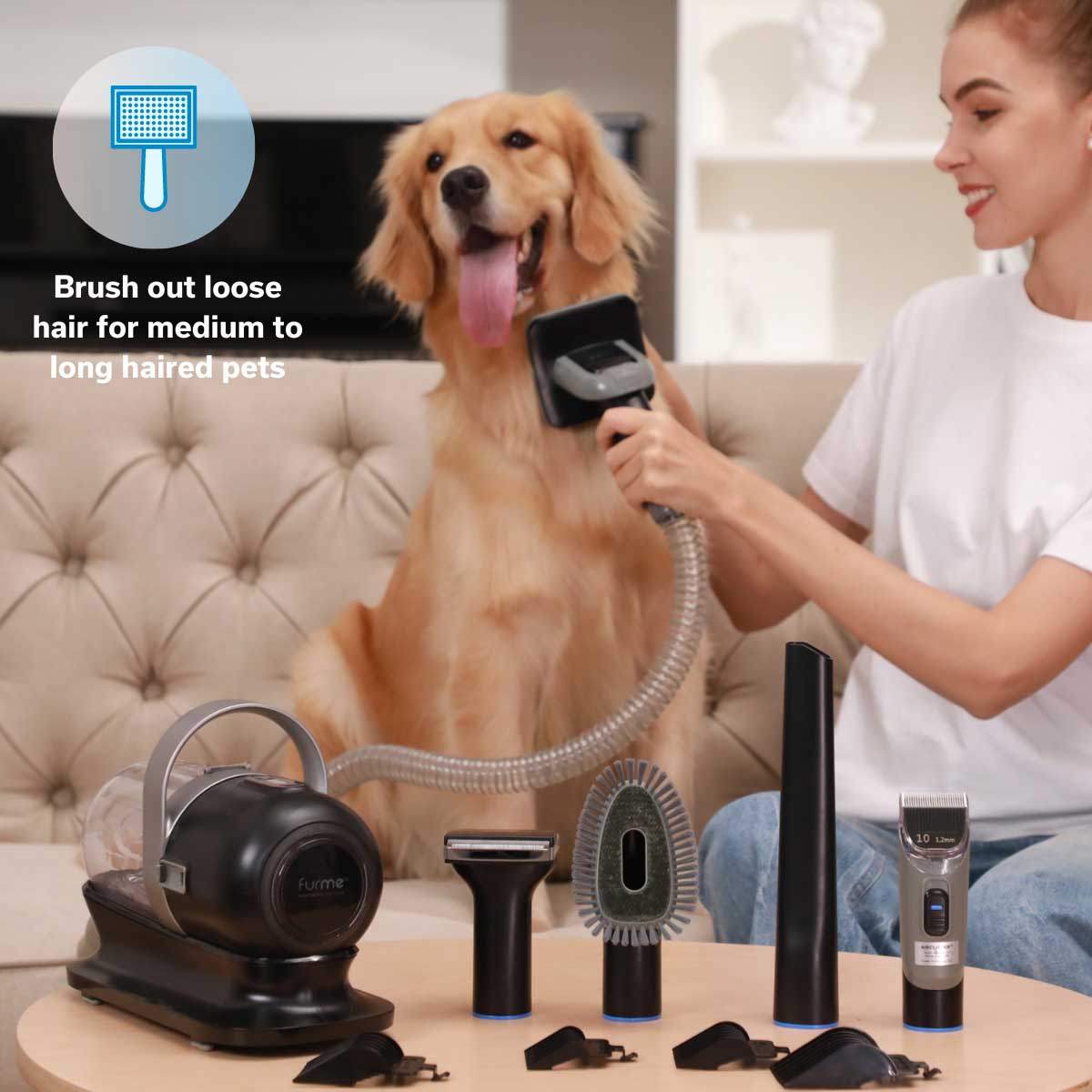 Dog Grooming With Clippers At Home For Shedding Breeds